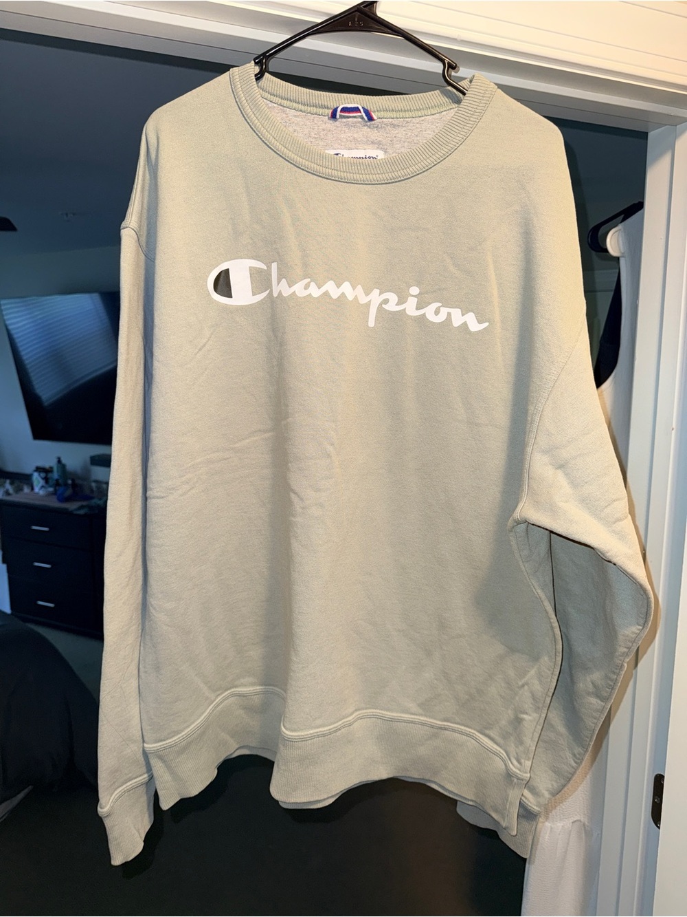 Champion Crewneck Sweatshirt in Sage Green with White Logo